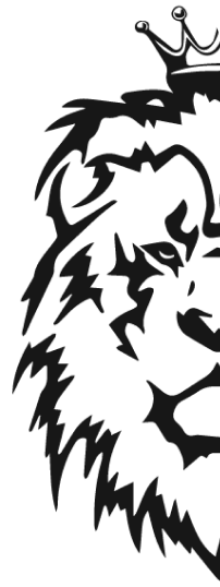 Web Design & Development